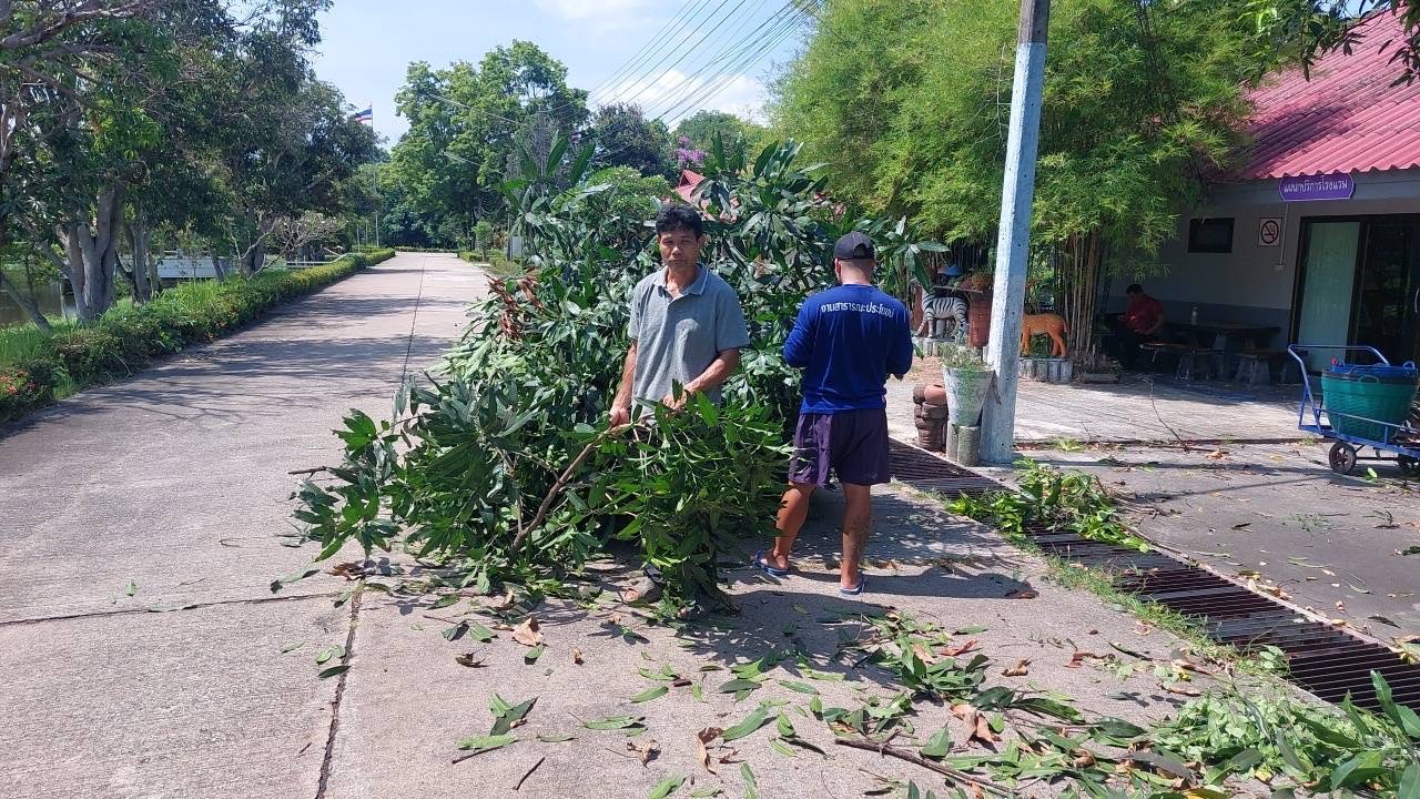 กิจกรรมพัฒนาพื้นที่ปรับภูมิทัศน์