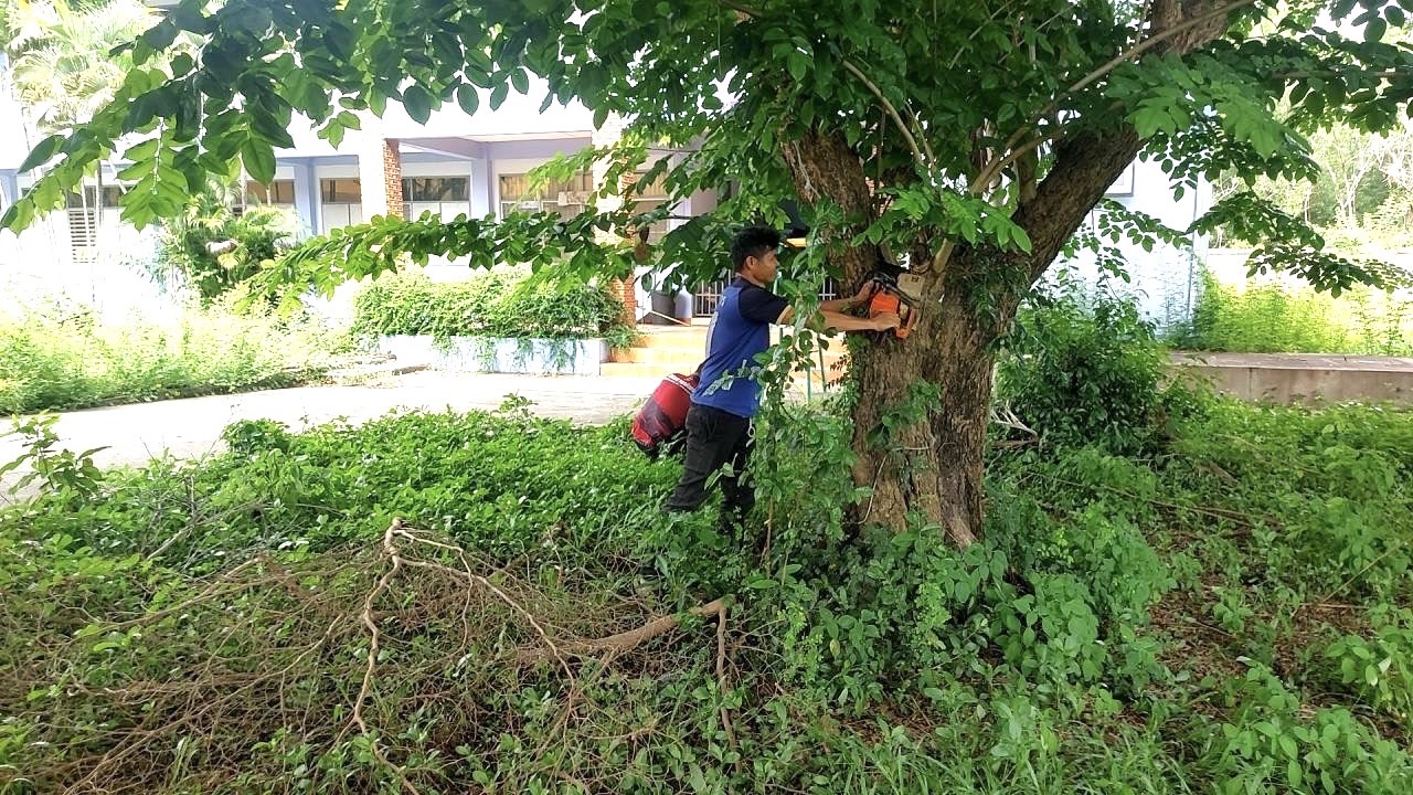 กิจกรรมพัฒนาพื้นที่ปรับภูมิทัศน์